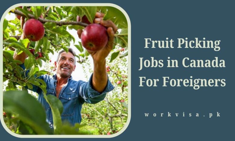 Fruit Picking Jobs in Canada For Foreigners