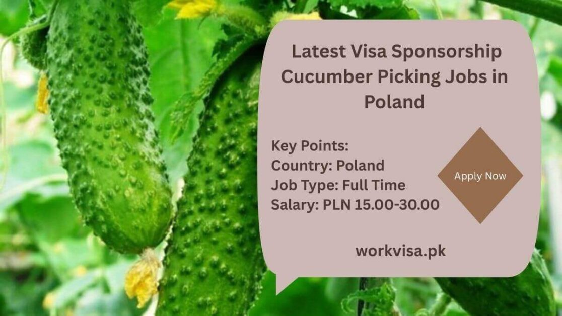 Latest Visa Sponsorship Cucumber Picking Jobs in Poland