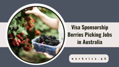 Visa Sponsorship Berries Picking Jobs in Australia