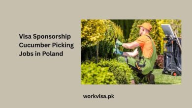 Visa Sponsorship Cucumber Picking Jobs in Poland