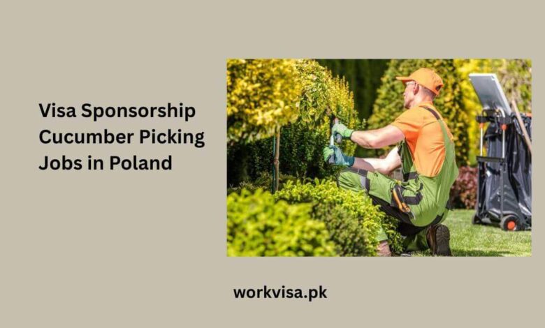 Visa Sponsorship Cucumber Picking Jobs in Poland
