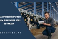 Visa Sponsorship Dairy Farm Supervisor Jobs in Canada