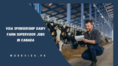 Visa Sponsorship Dairy Farm Supervisor Jobs in Canada