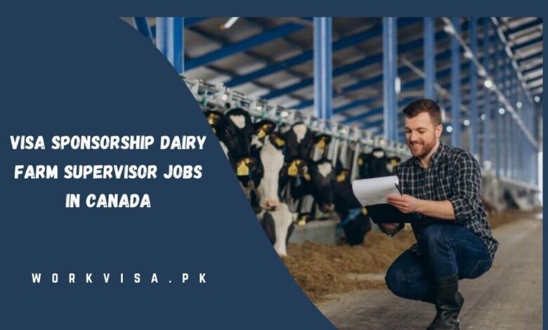 Visa Sponsorship Dairy Farm Supervisor Jobs in Canada