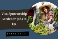 Visa Sponsorship Gardener Jobs in UK