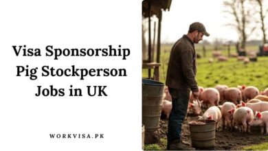 Visa Sponsorship Pig Stockperson Jobs in UK