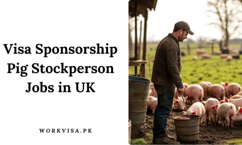Visa Sponsorship Pig Stockperson Jobs in UK