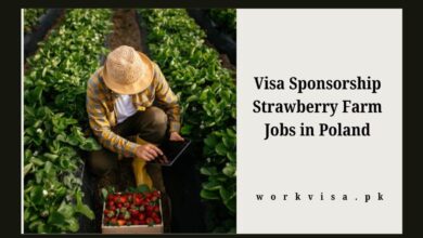 Visa Sponsorship Strawberry Farm Jobs in Poland