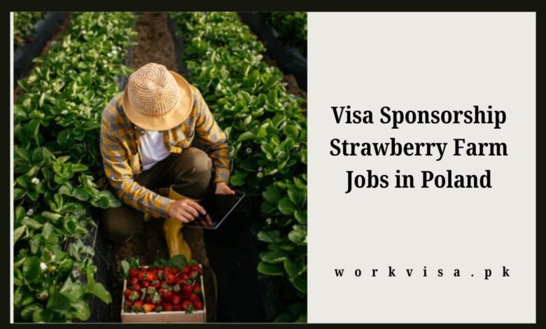 Visa Sponsorship Strawberry Farm Jobs in Poland