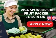 Visa Sponsorship Fruit Packer Jobs in UK